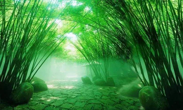 独坐幽篁里，弹琴复长啸