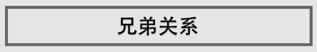 高尔夫亲兄弟，这台你没见过的新车，包你不觉得腻！