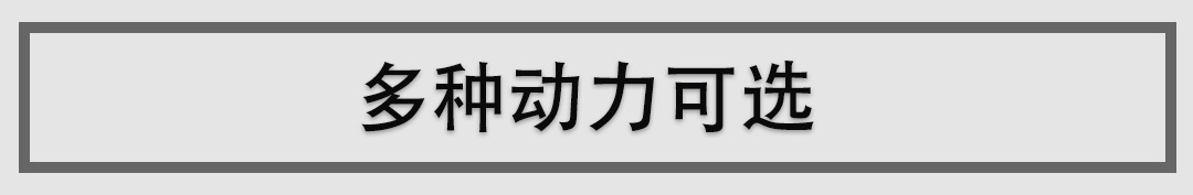 高尔夫亲兄弟，这台你没见过的新车，包你不觉得腻！