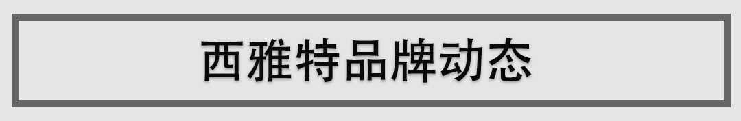 高尔夫亲兄弟，这台你没见过的新车，包你不觉得腻！