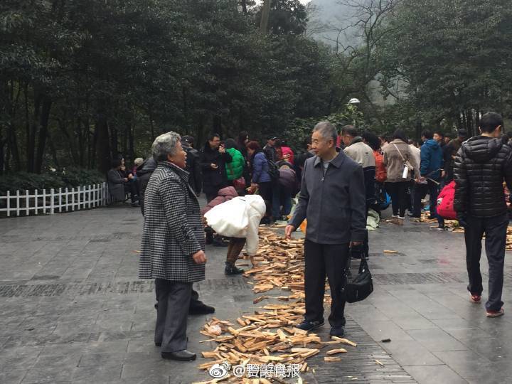大年初一,贵阳黔灵山公园"捡柴(财)"的市民络绎不绝