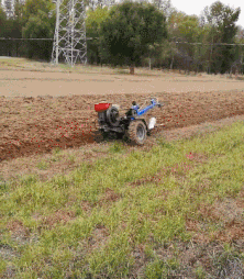 五征福田三轮车配常柴柴油机铭牌都没有红太阳加字母图案,只有油箱上面有红太