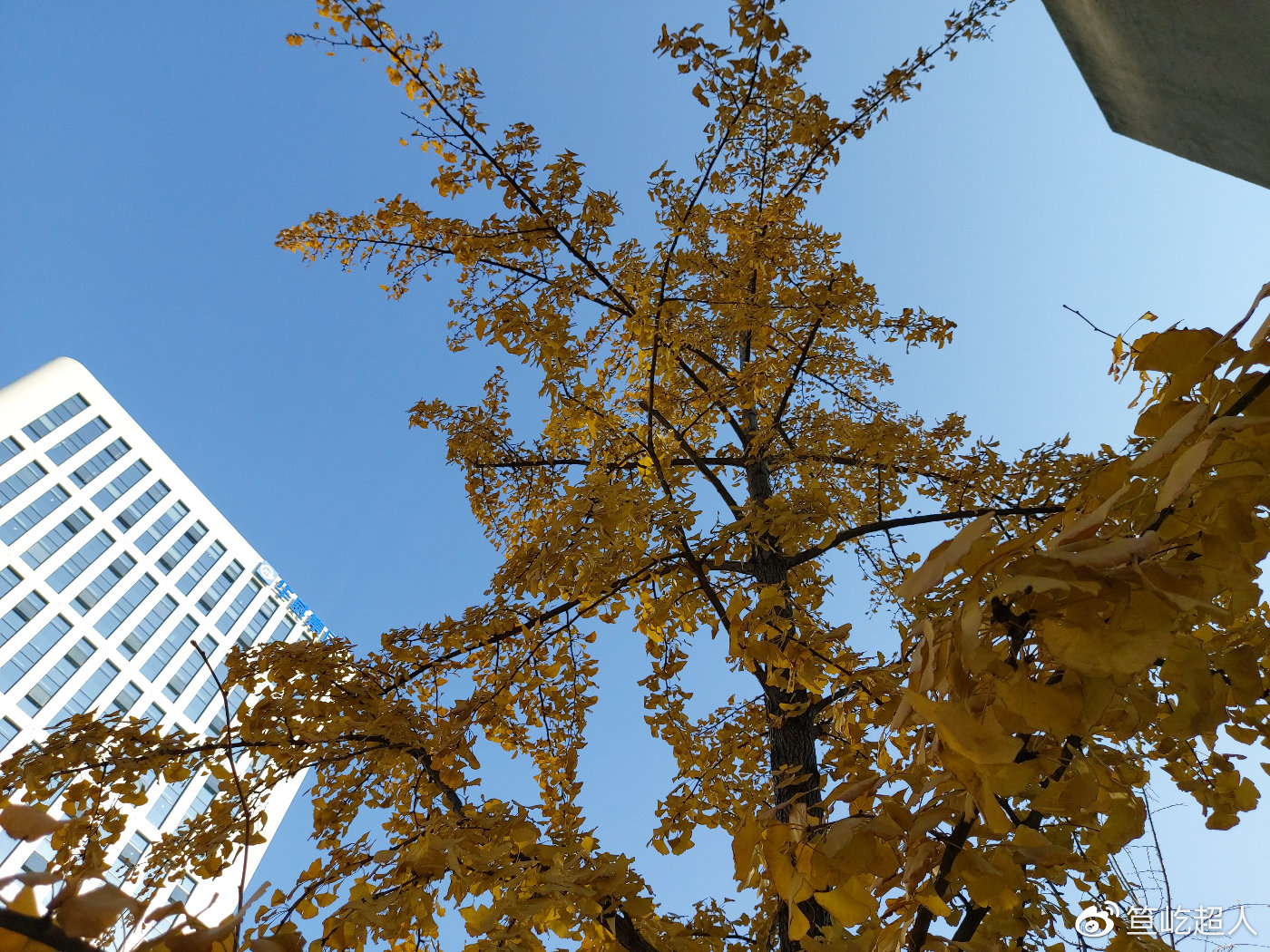 三星a90评测旗舰性能两天续航5g冲浪