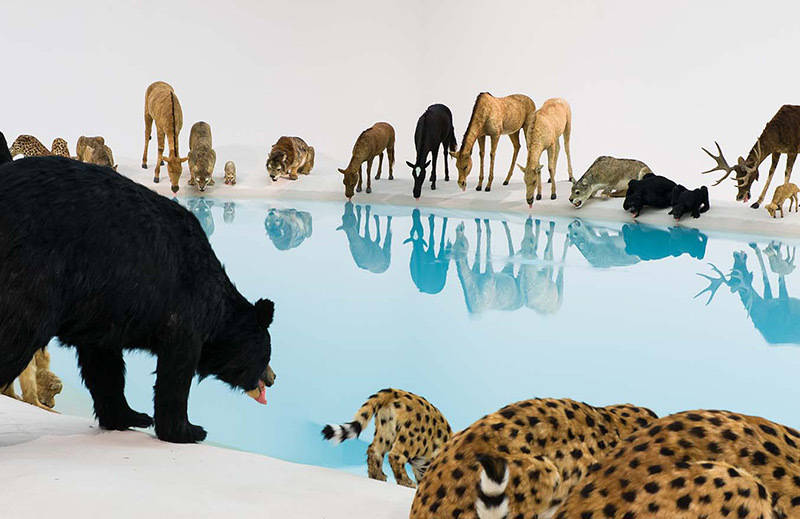 雕塑展.蔡国强"传承"&撞向玻璃墙的狼 @微博艺术