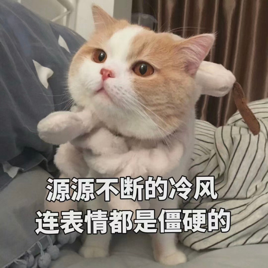 小猫咪表情包给对象发