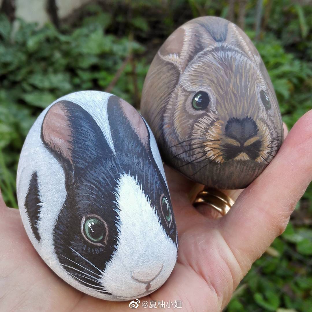 动物石头画,憨萌可爱的小熊猫超可爱