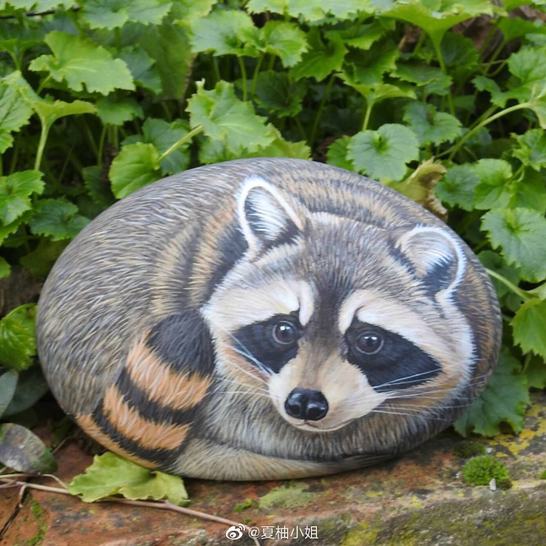 动物石头画,憨萌可爱的小熊猫超可爱