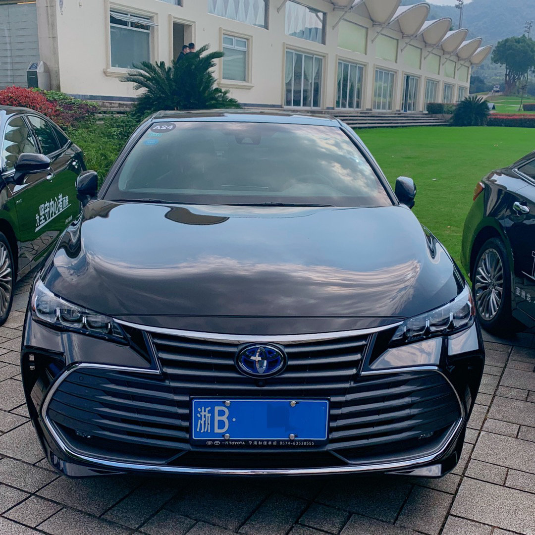 亚洲龙 有三种前脸,你之前注意到了吗?都是不同的版本