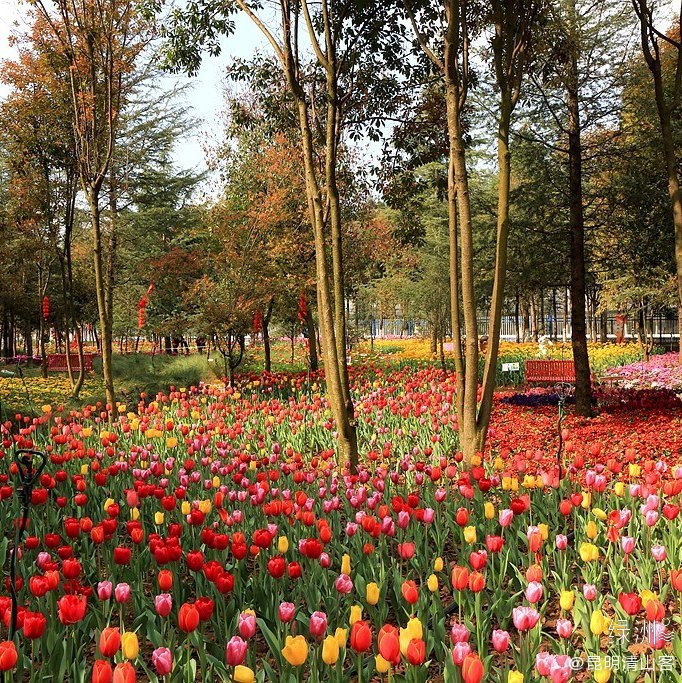 昆明花仙子童话世界