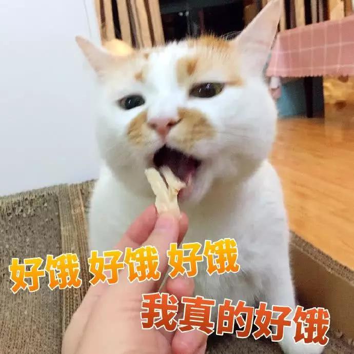 表情包:好饿好饿好饿,我真的好饿|得劲|胆子|表情包_新浪新闻