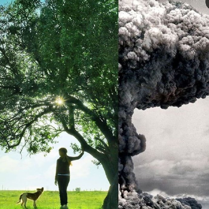 同一个世界,截然不同的命运 震撼照片拼接 |  ins ugurgallen