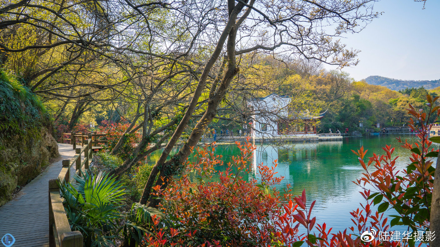 南京珍珠泉,地下泉水冒出时似颗颗明珠|南京珍珠泉|珍珠泉|泉水_新浪新闻
