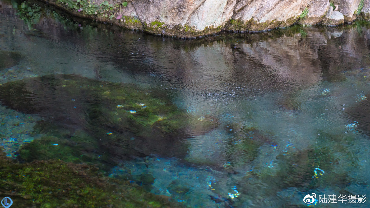 南京珍珠泉,地下泉水冒出时似颗颗明珠|南京珍珠泉|珍珠泉|泉水_新浪新闻