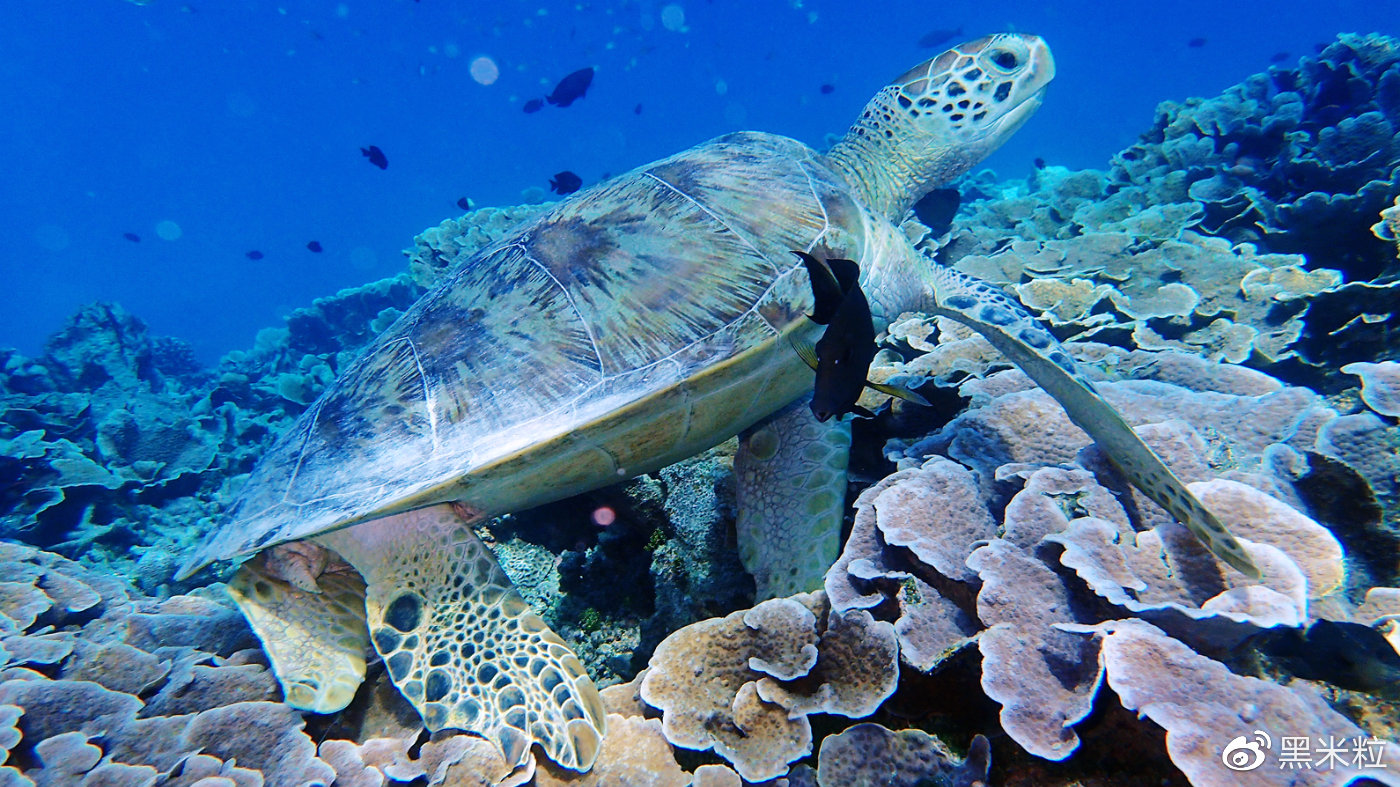 海上香格里拉,人间马尔代夫|它们有一个共同的名字叫天堂