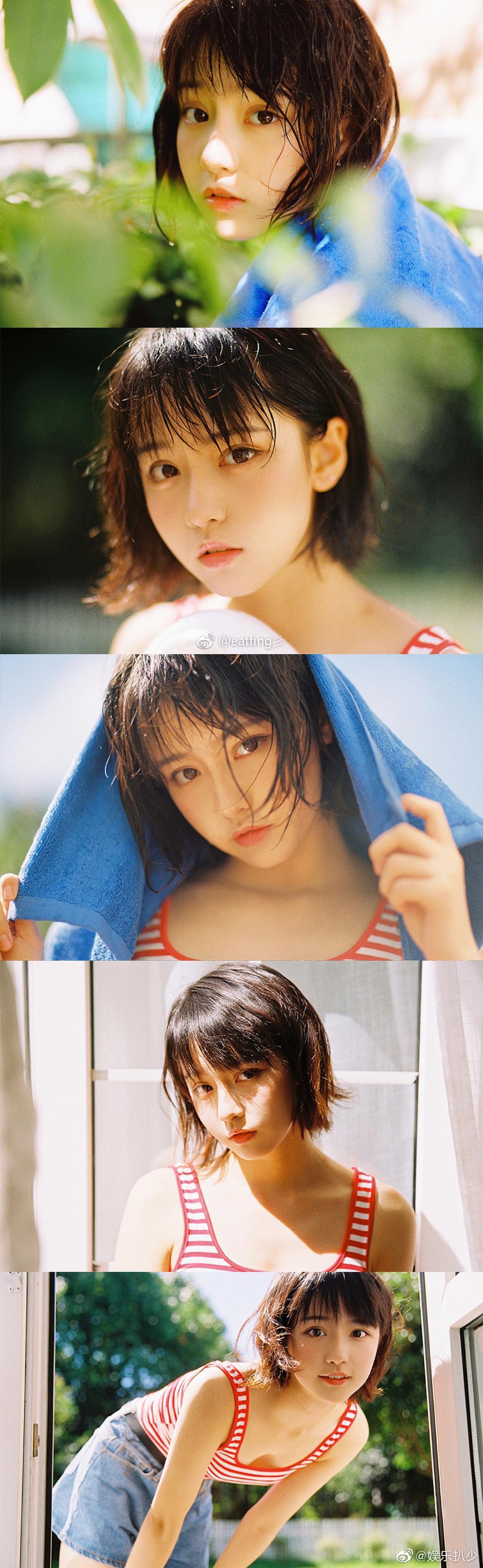 诸葛大力原来是网红犬来八荒照片看着很可爱_高清图集_新浪网