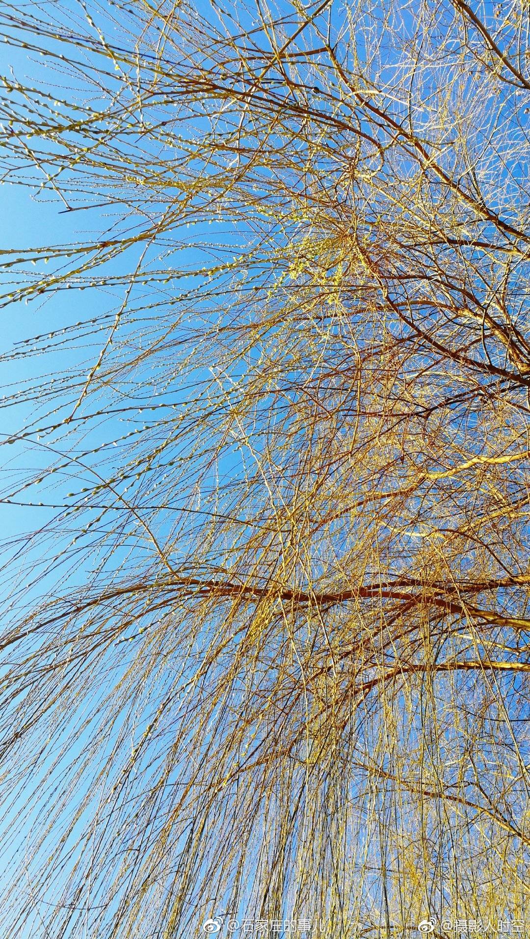 春暖花开的季节风都变得温柔起来了不考虑其他因素