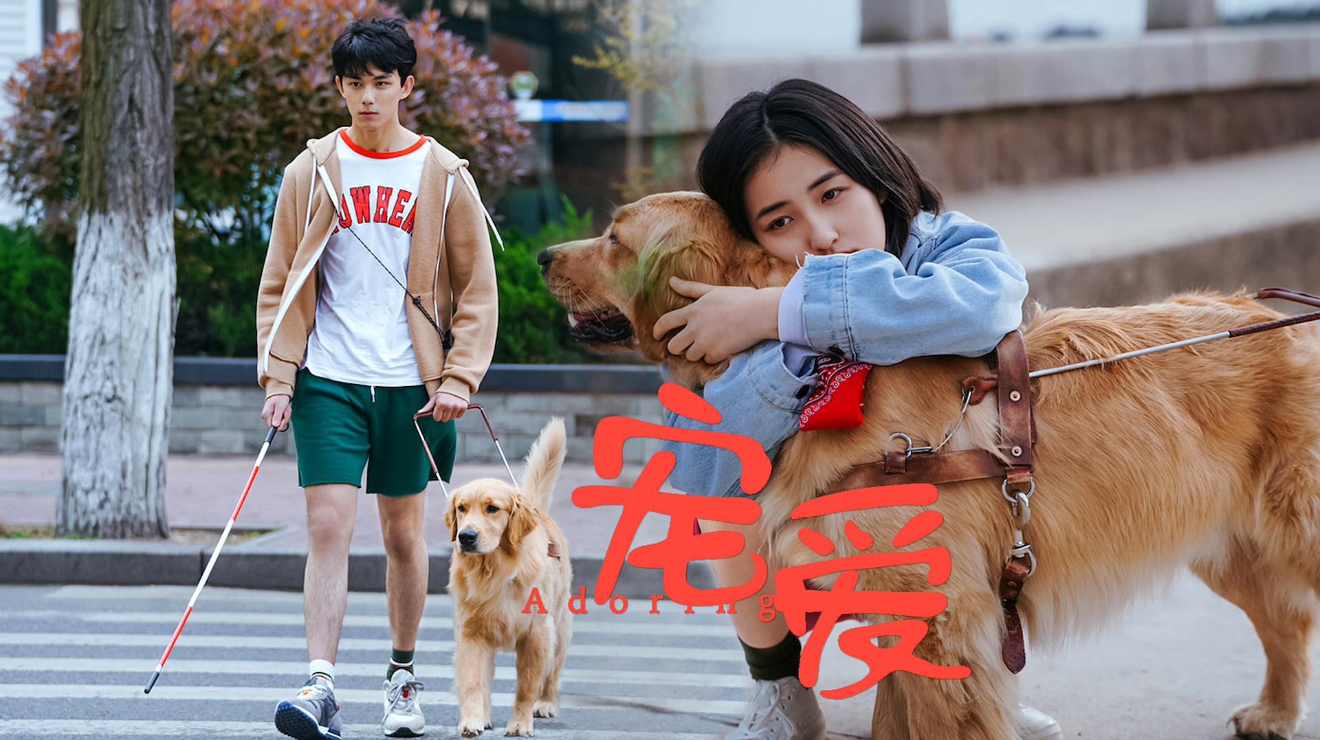 《宠爱》:对动物的宠爱是否就代表有爱心?马尔克斯表示恰恰相反