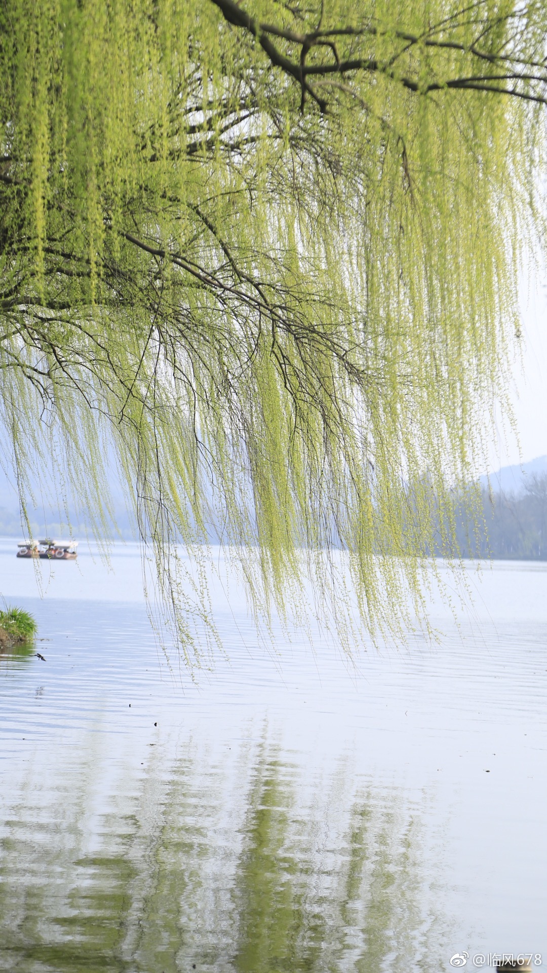 远山揺绿花满枝.清波微涟映客船