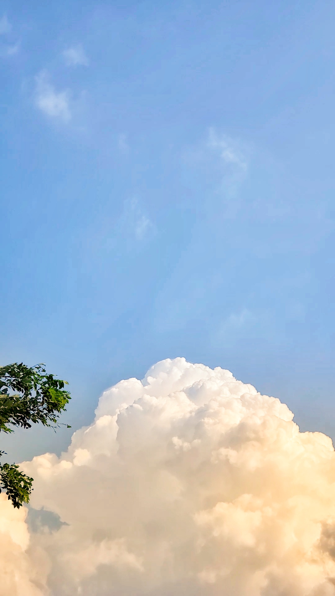 老家的云朵十分美丽像游客一般在明净的天空上飘来荡去