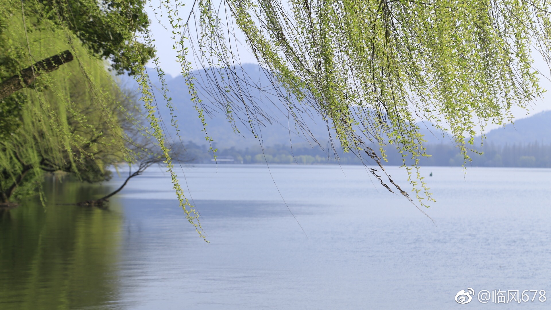 远山揺绿花满枝.清波微涟映客船