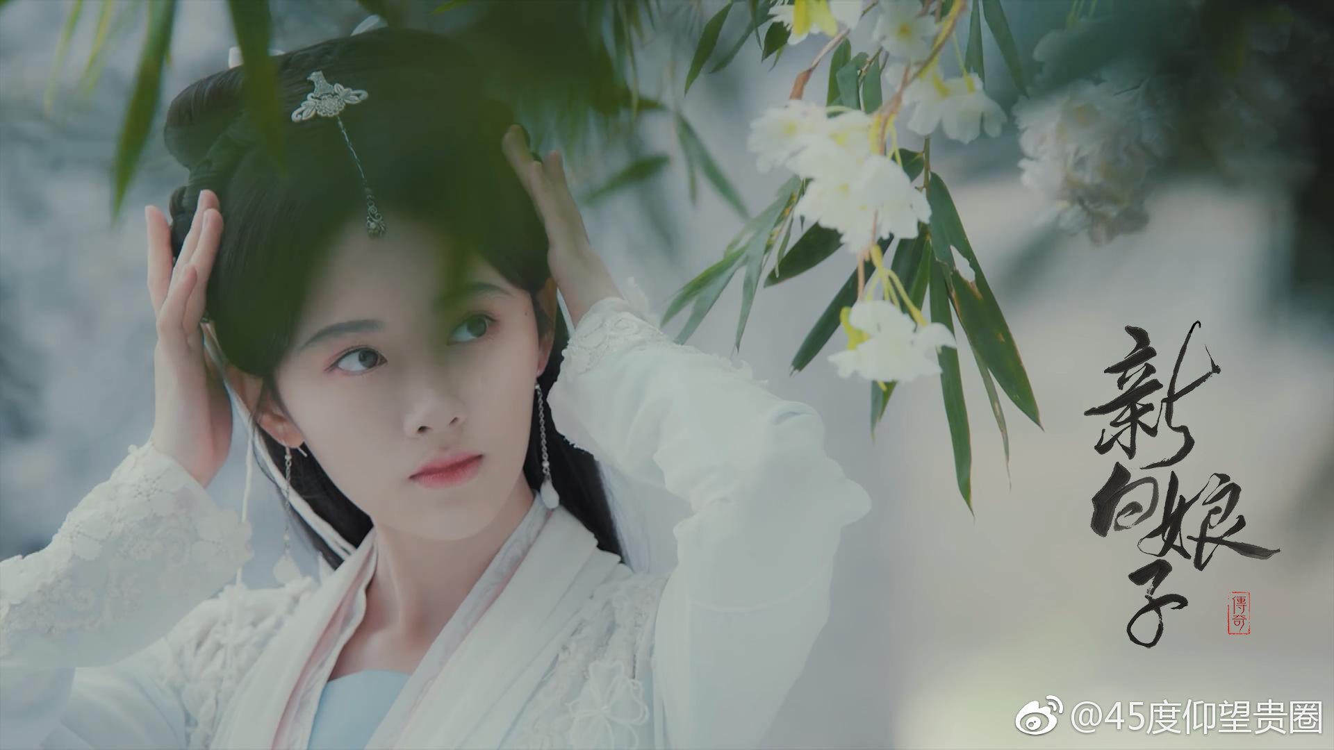 新版的《新白娘子传奇》大家看了吗