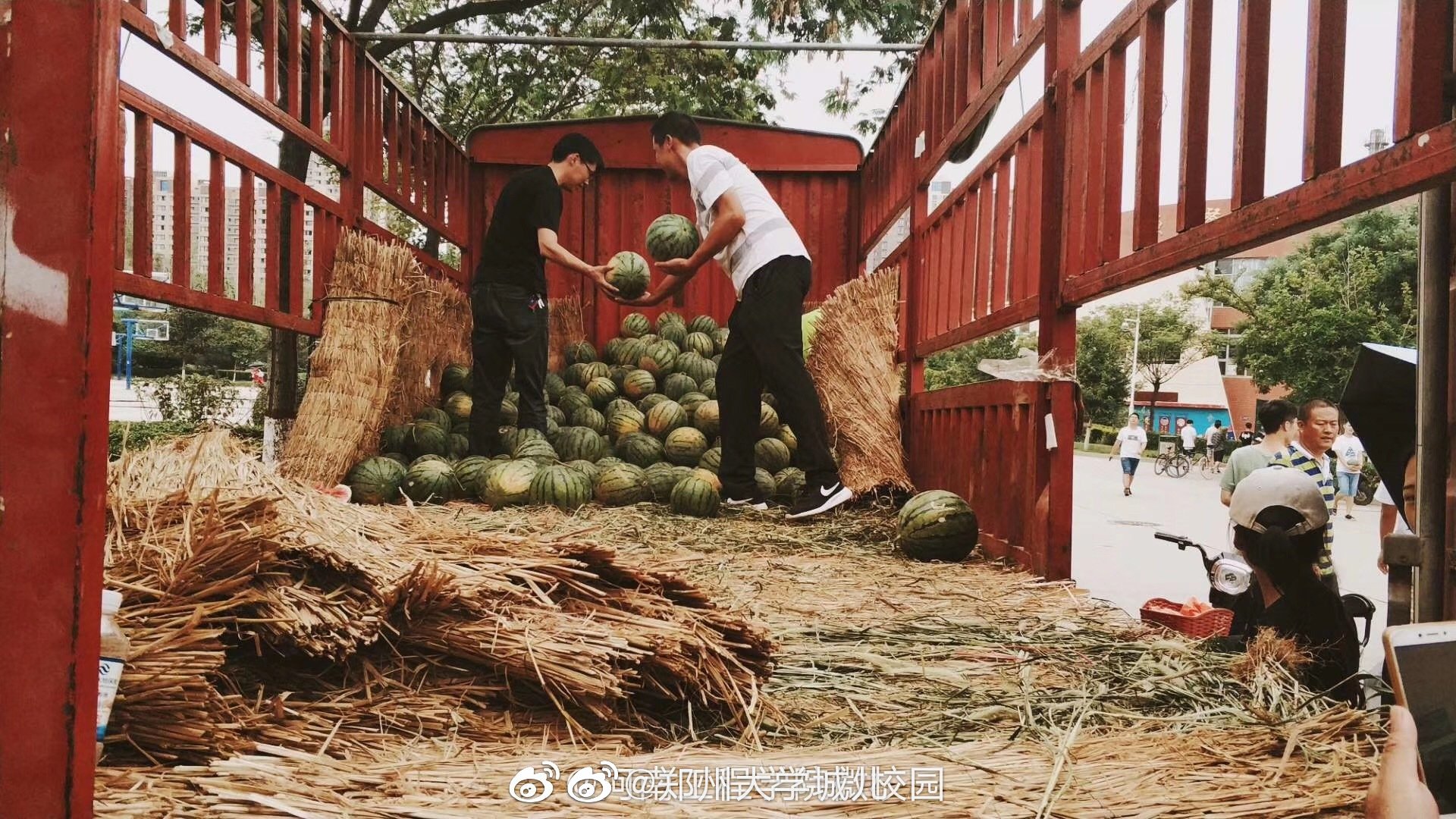 河南工程学院暑假给留校学生发西瓜羡慕不图综合网友