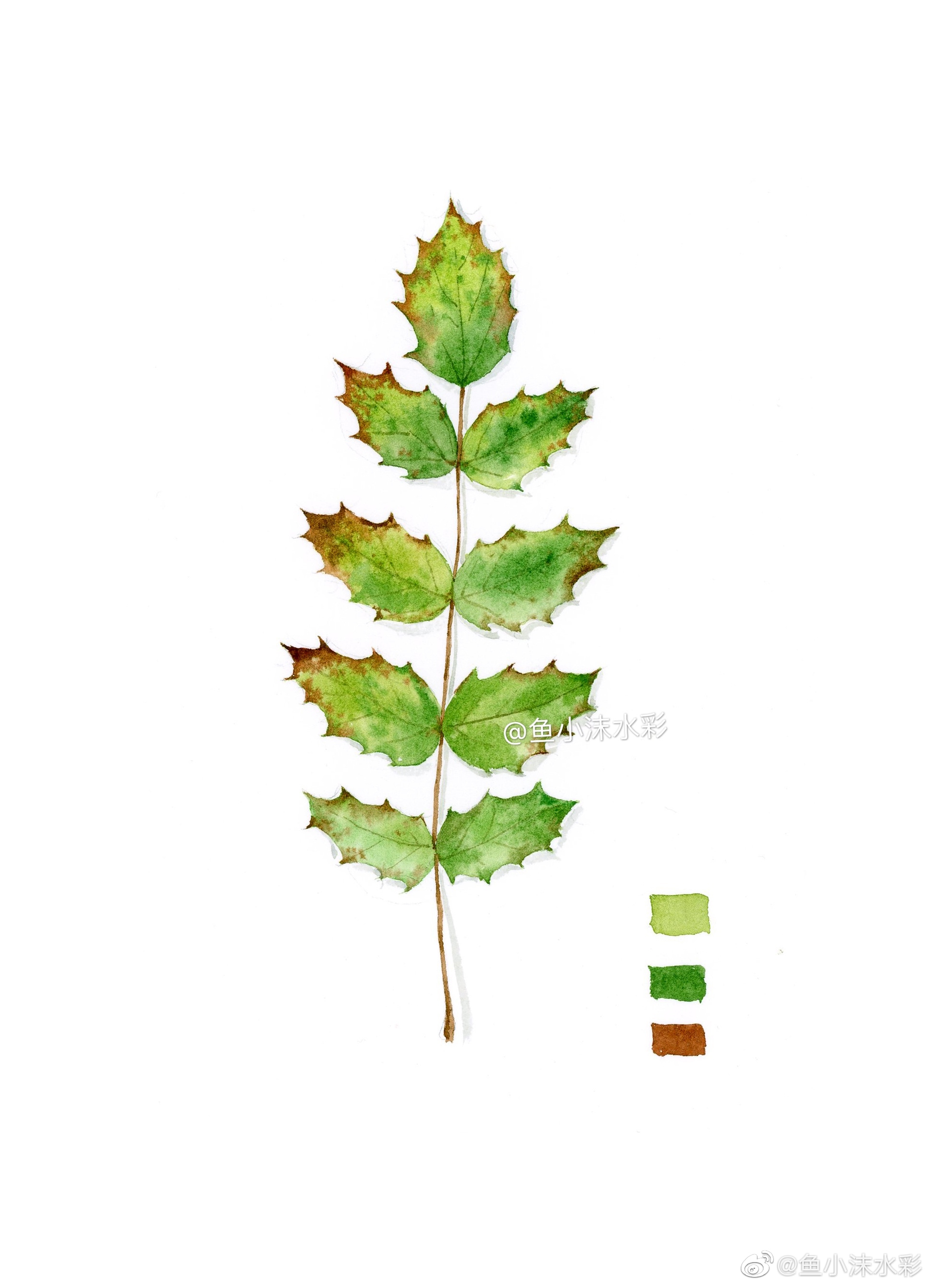 93作者:@鱼小沫水彩基础植物～绚丽的树叶|水彩|树叶|植物_新浪新闻