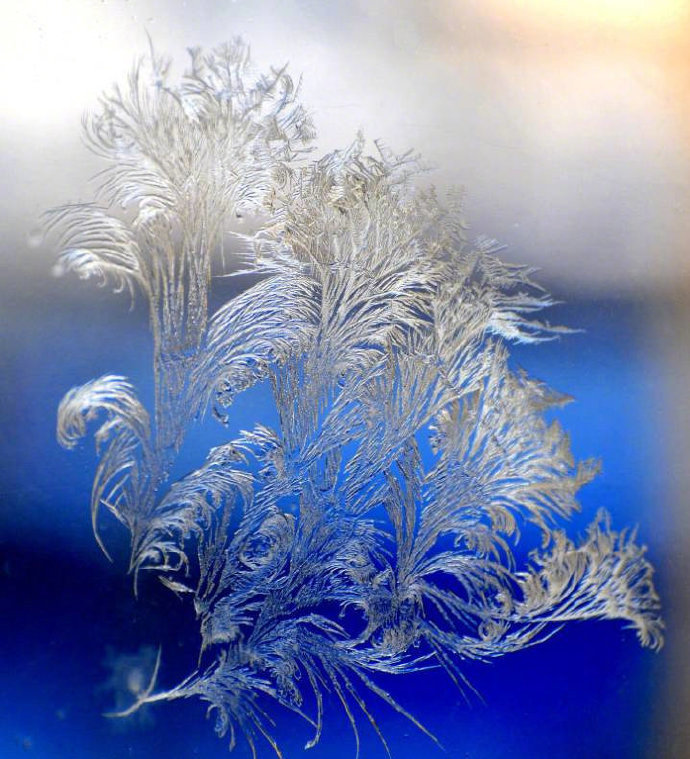 窗上冰花,大自然的杰作! (图片来源网络)