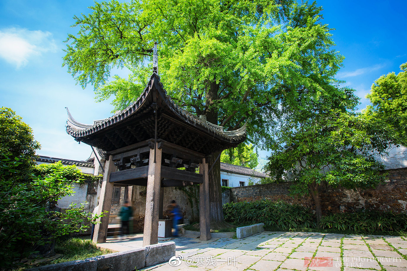 宗祠,又称为宗庙、祖庙、祠堂,是供奉家族祖先牌位和祭祀的地方|祠堂|宗祠|家族|宗庙|牌位_新浪新闻