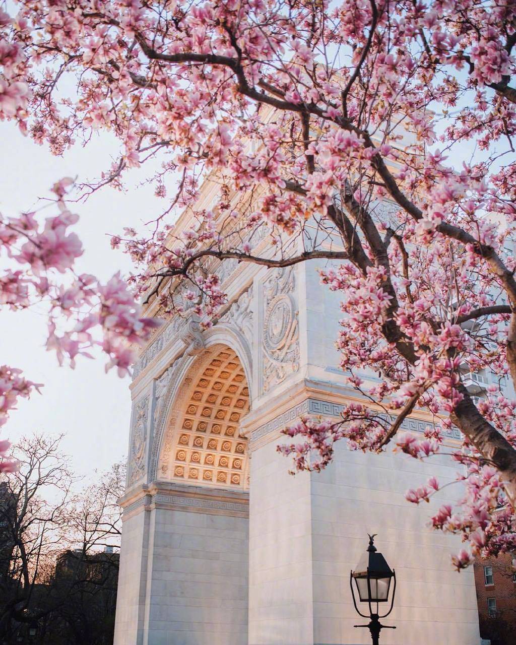 纽约的春天.ins:joethommas