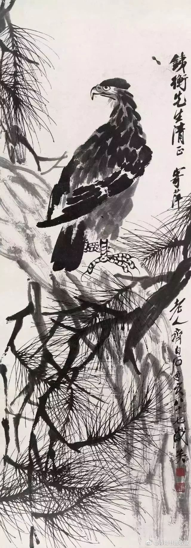 齐白石鹰松图欣赏