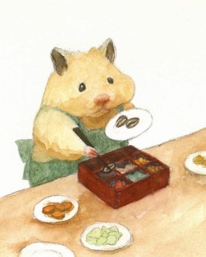 仓鼠insgottehamham