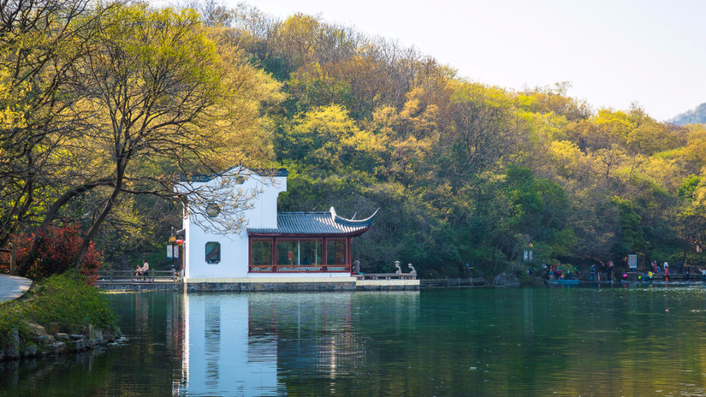 南京珍珠泉,地下泉水冒出时似颗颗明珠|南京珍珠泉|珍珠泉|泉水_新浪新闻