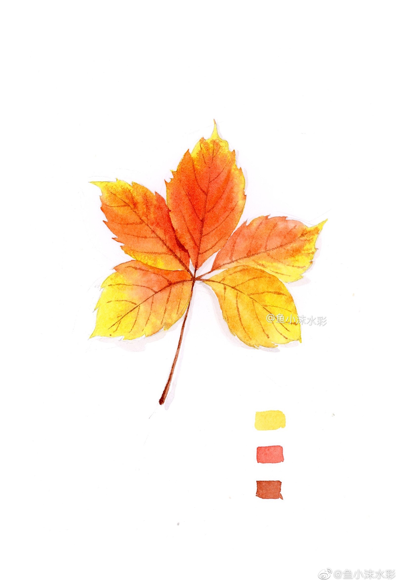 93作者:@鱼小沫水彩基础植物～绚丽的树叶|水彩|树叶|植物_新浪新闻