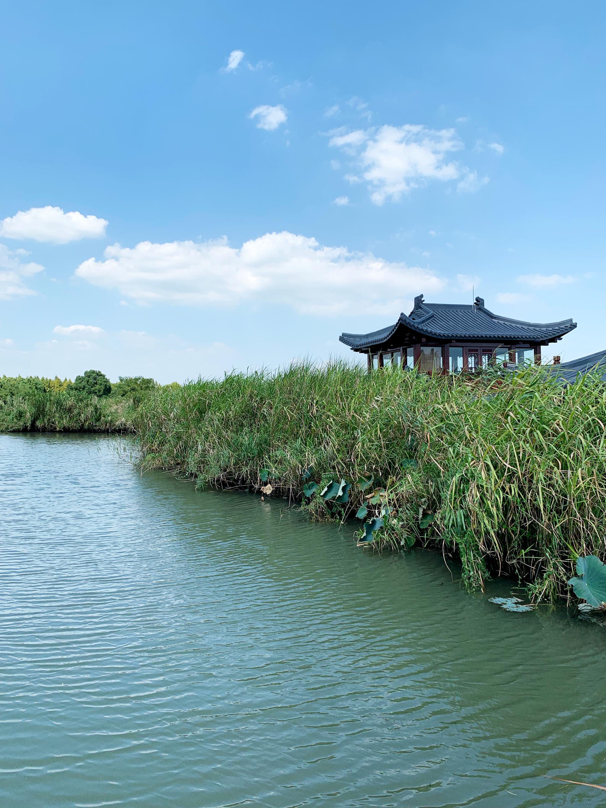 下渚湖国家湿地公园位于浙江德清县,是江南最大的天然湿地|下渚湖|浙