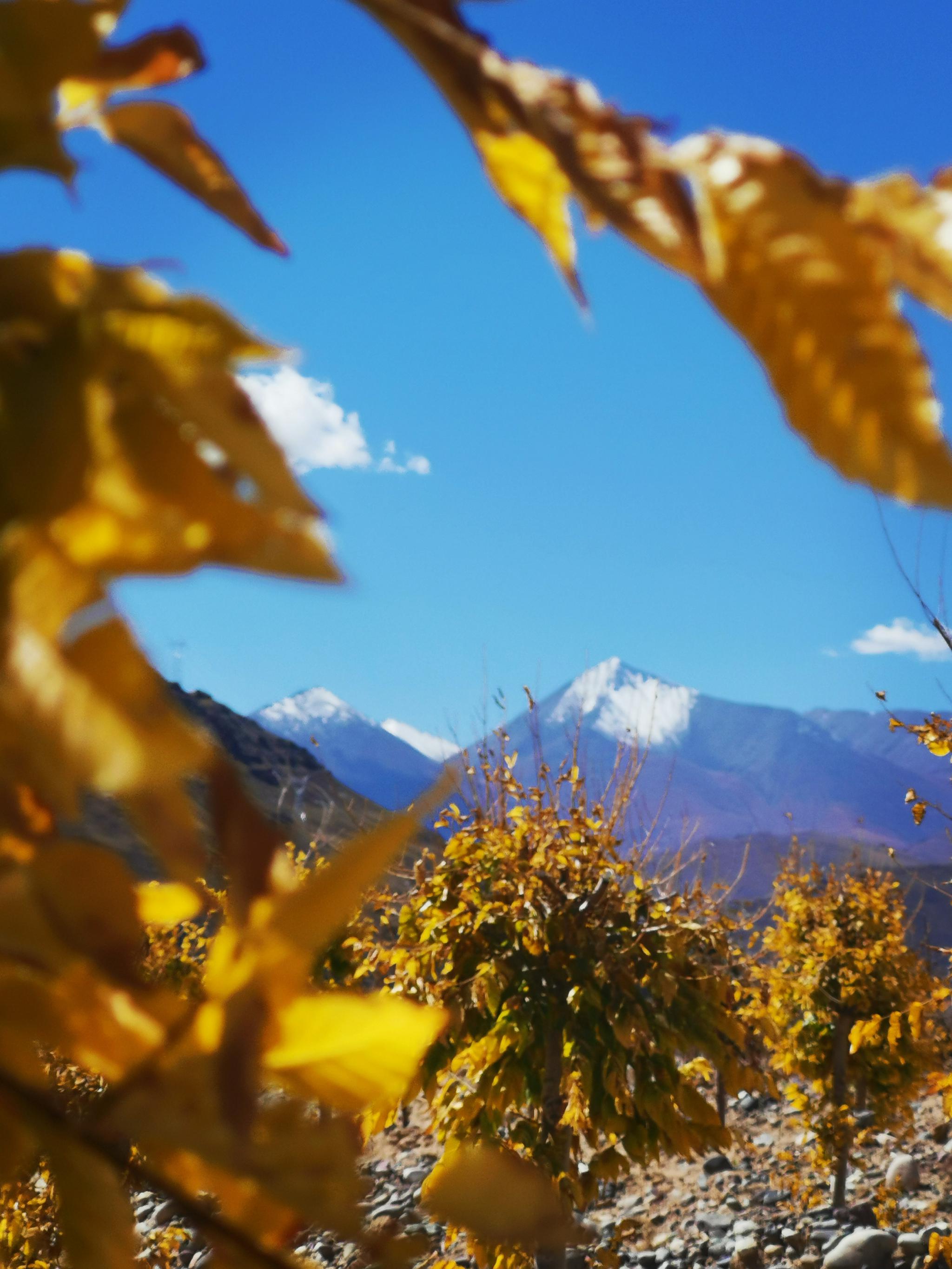 雅江北岸南木林县,日喀则从2015年起,战天寒