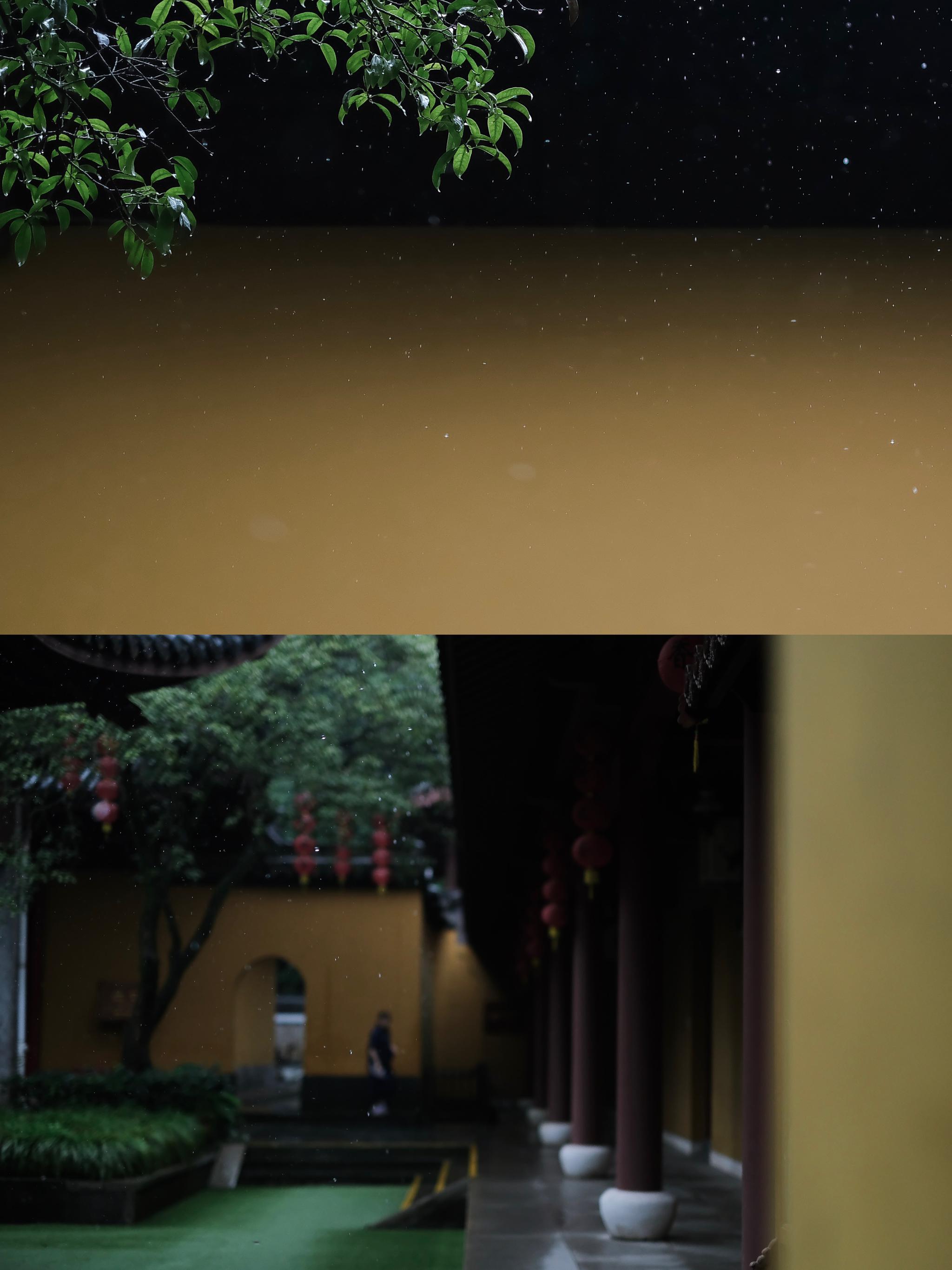 而今听雨僧庐下,方知遇水即有望. @檀荛