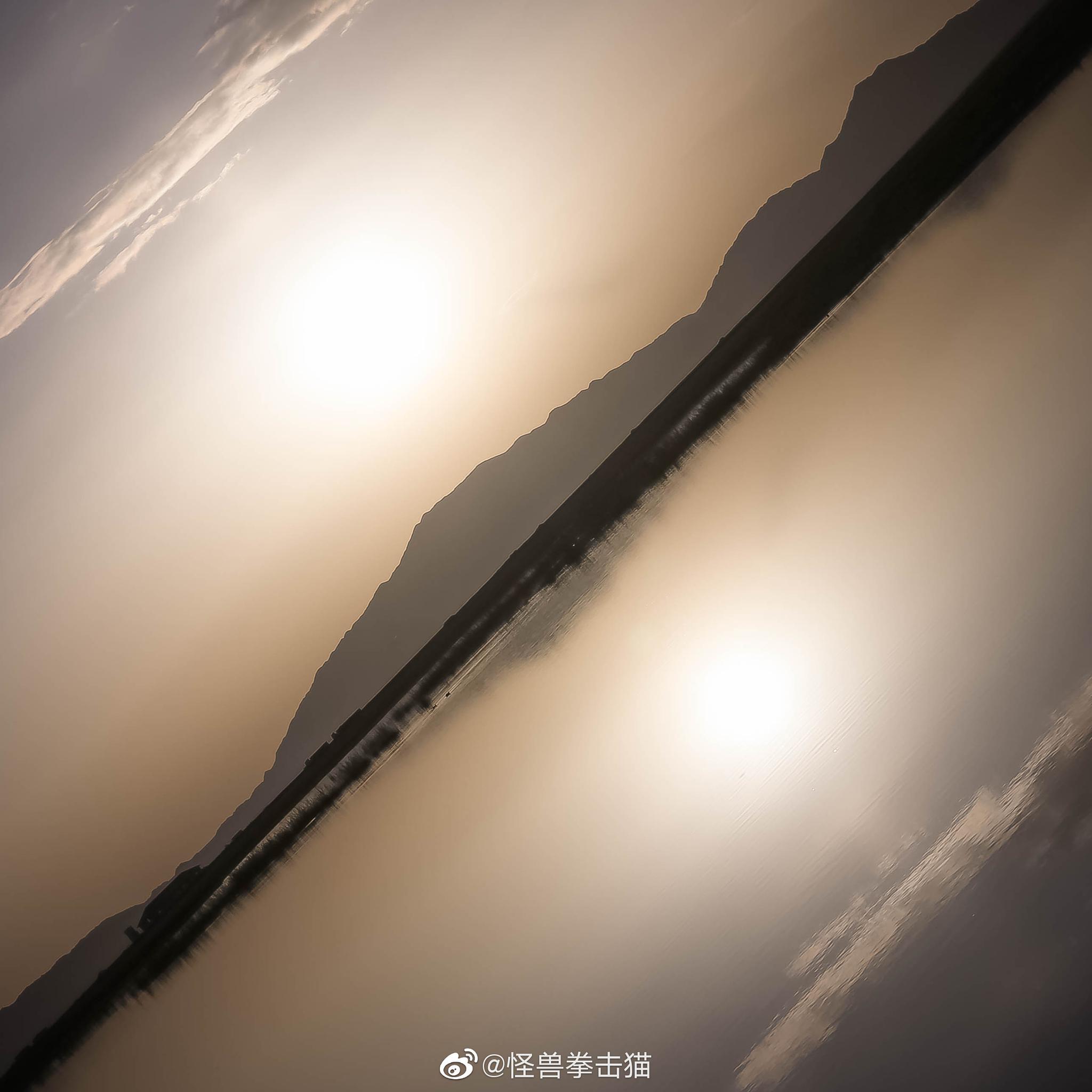 学习对角线构图摄影怪兽拳击猫