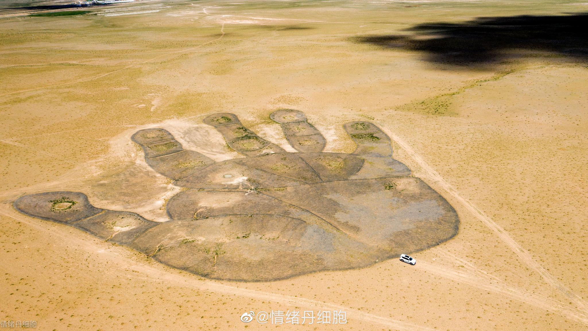 二连盆地白垩纪恐龙国家地质公园|如来神掌|恐龙国家地质公园|手掌