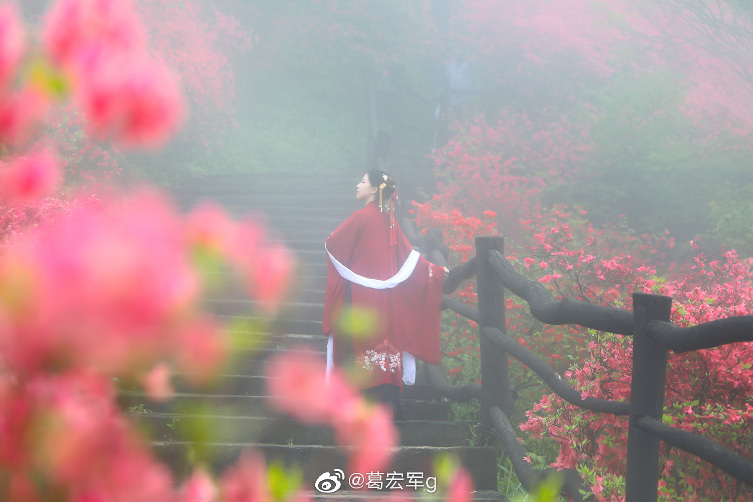 雾中花海正是拍摄的机会