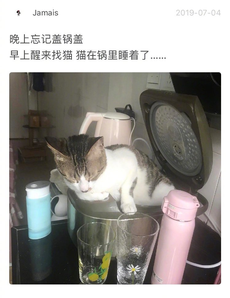 两个世界