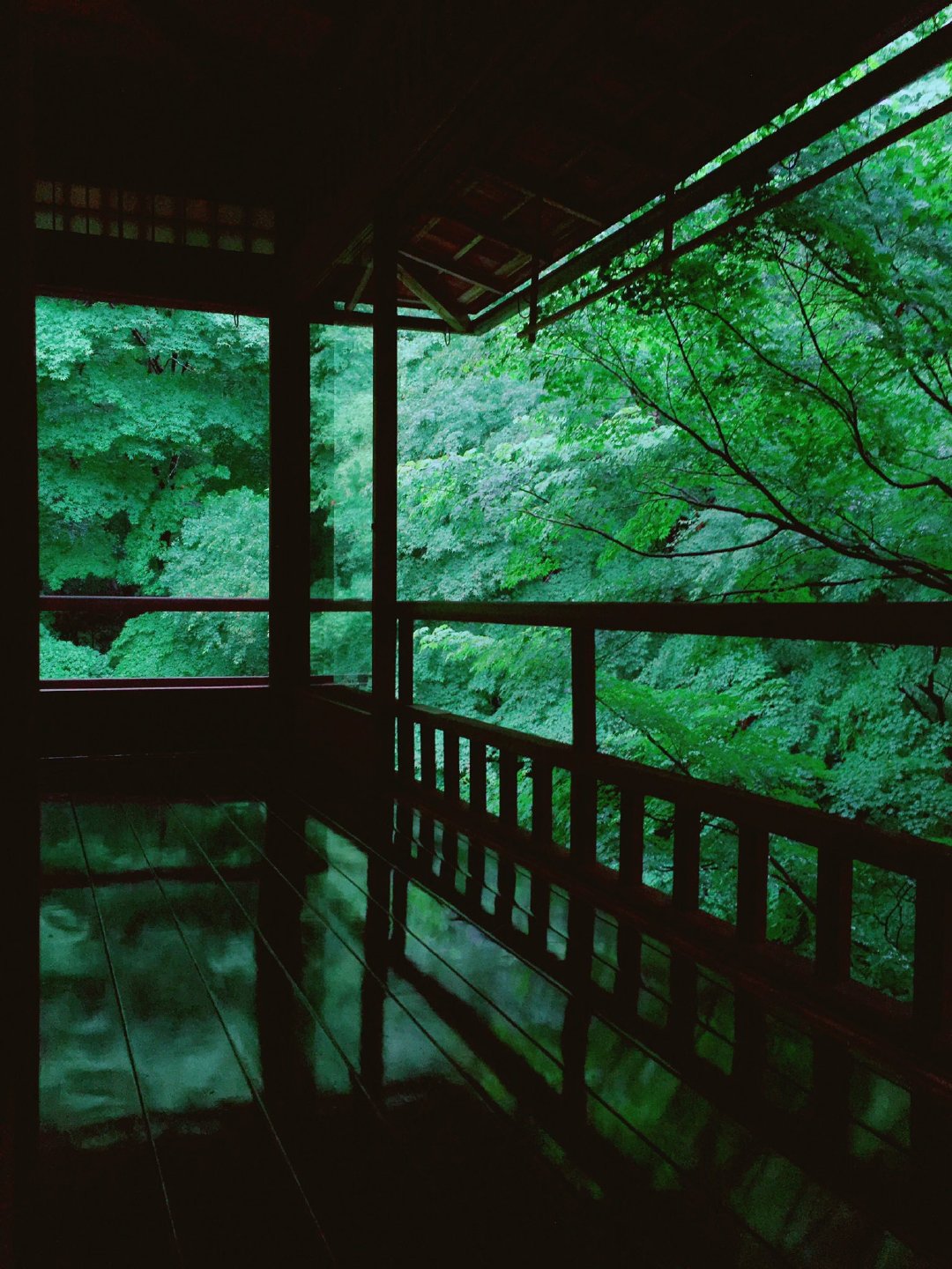 琉璃光院是京都很小众的景点 琉璃光院是京都很小众的景点