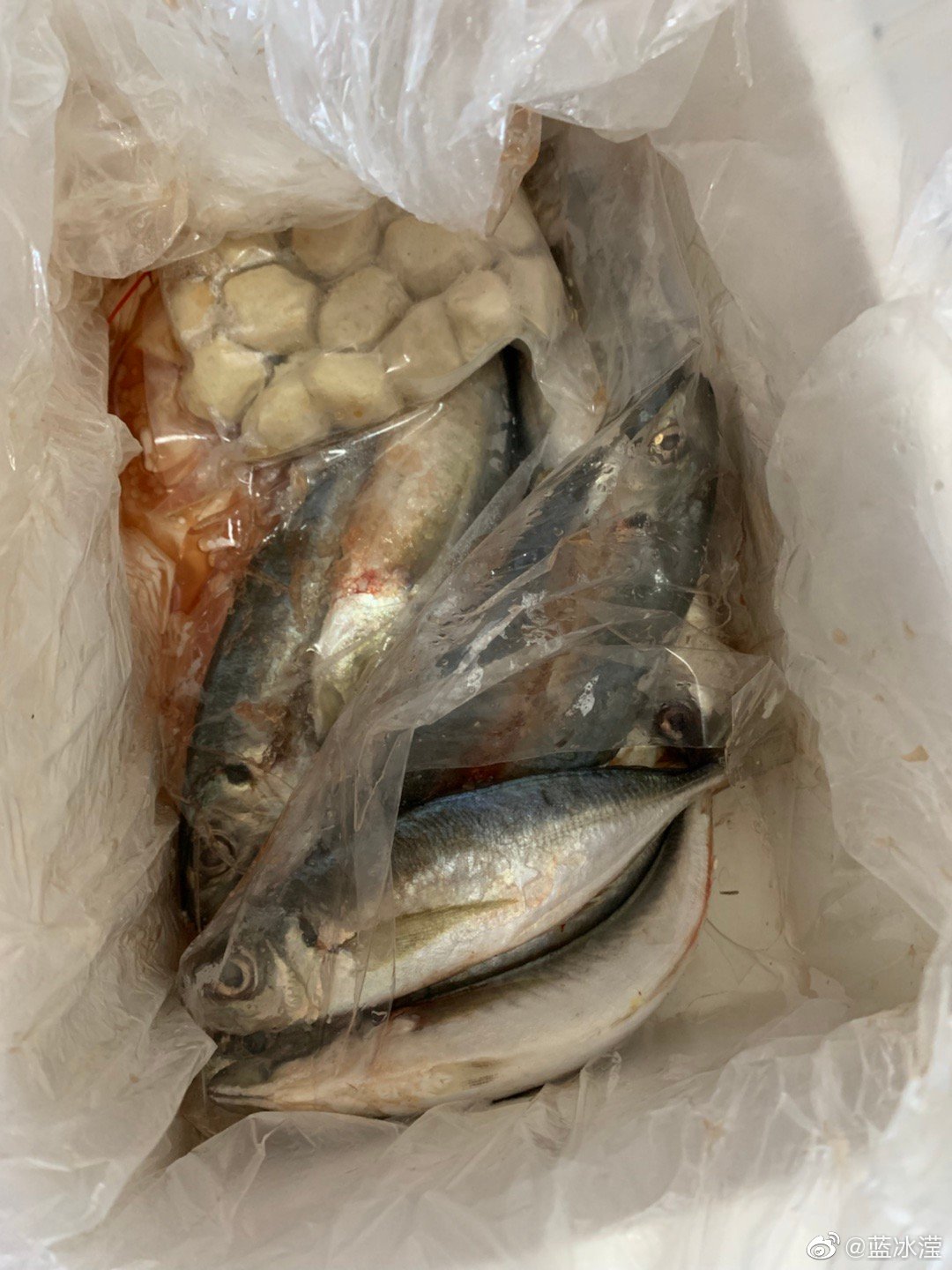 在网上买海鲜,说好了发顺丰冷链物流,结果用的普通快递