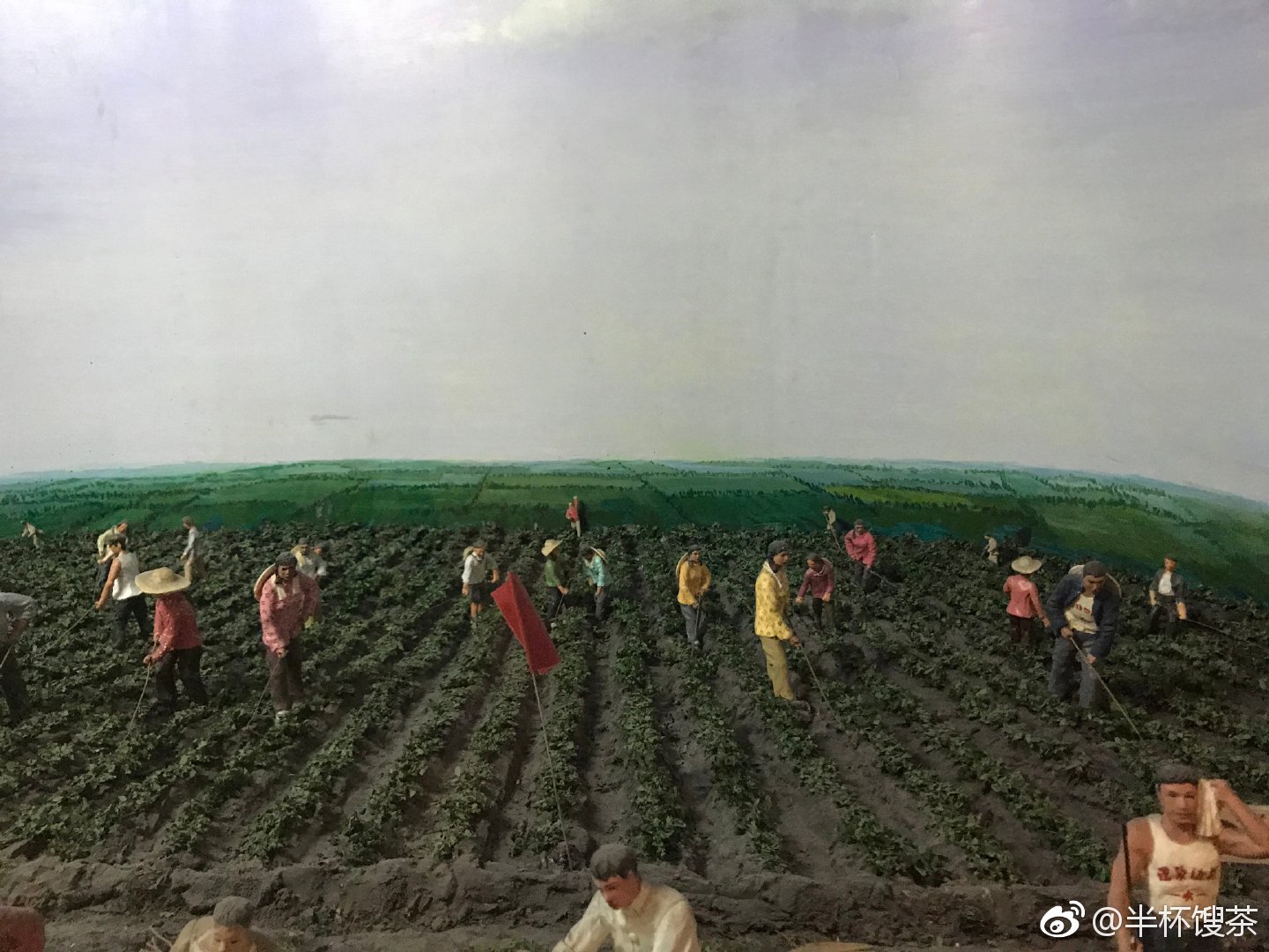 中国粮食危机:黑土地正在变黄,千万年东北黑土50年...