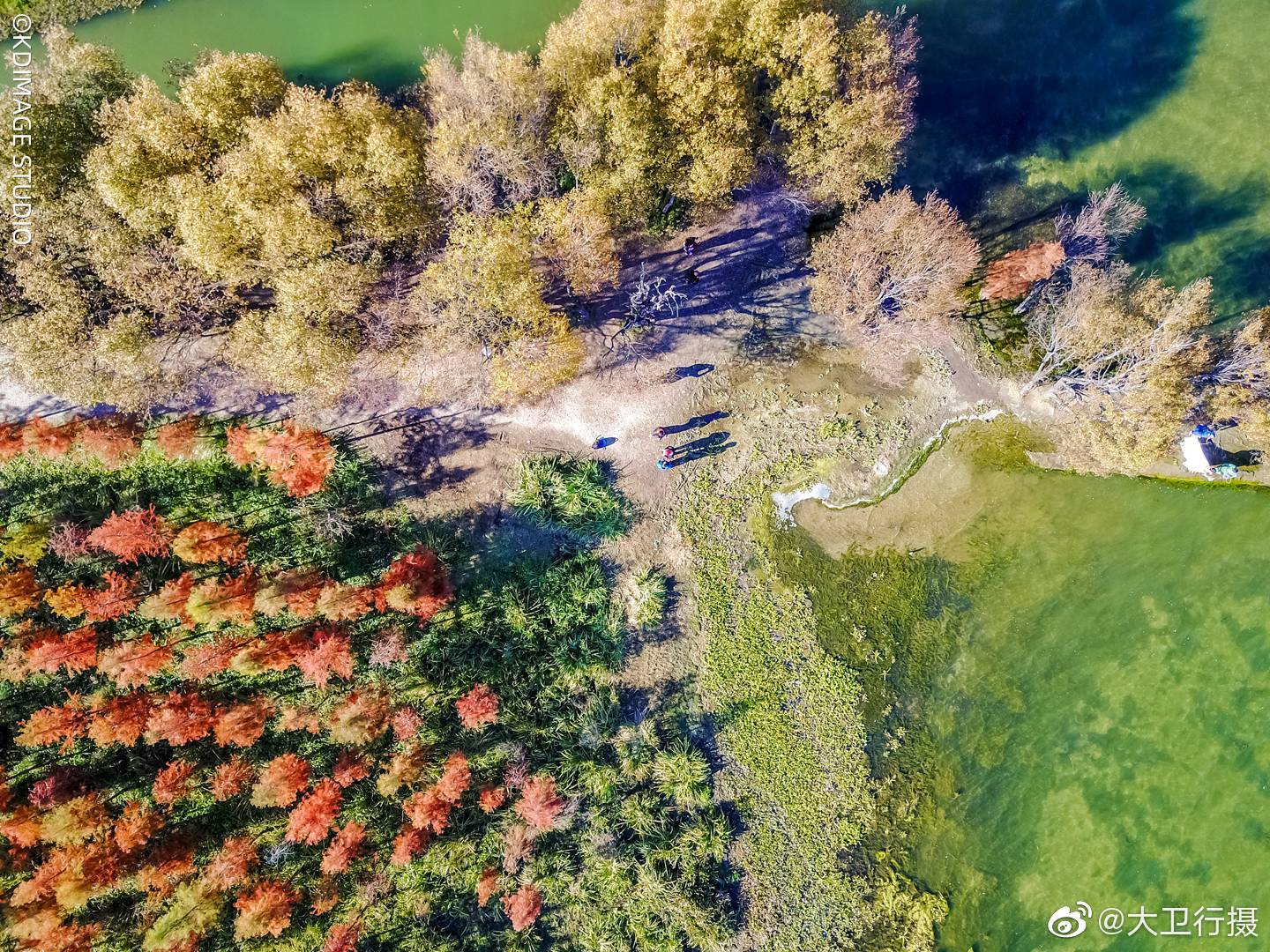 上关花，下关风，苍山雪，洱海月，如果中秋要去一个浪漫的地方赏月|下关风|上关花|苍山雪_新浪新闻