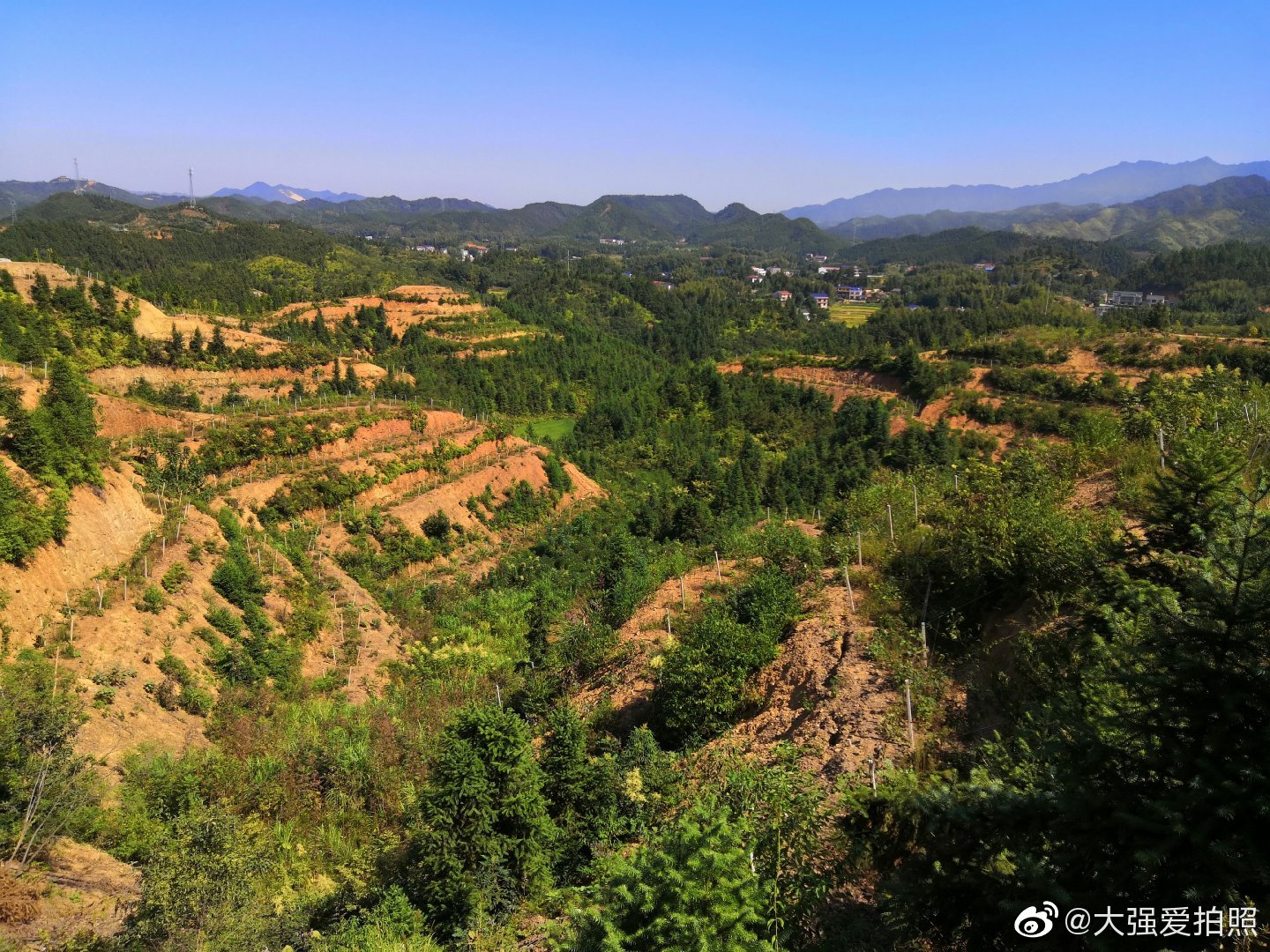 平江县梅仙镇三里村峰岭菁华果园,给三里村带来了稳定的就业|果园