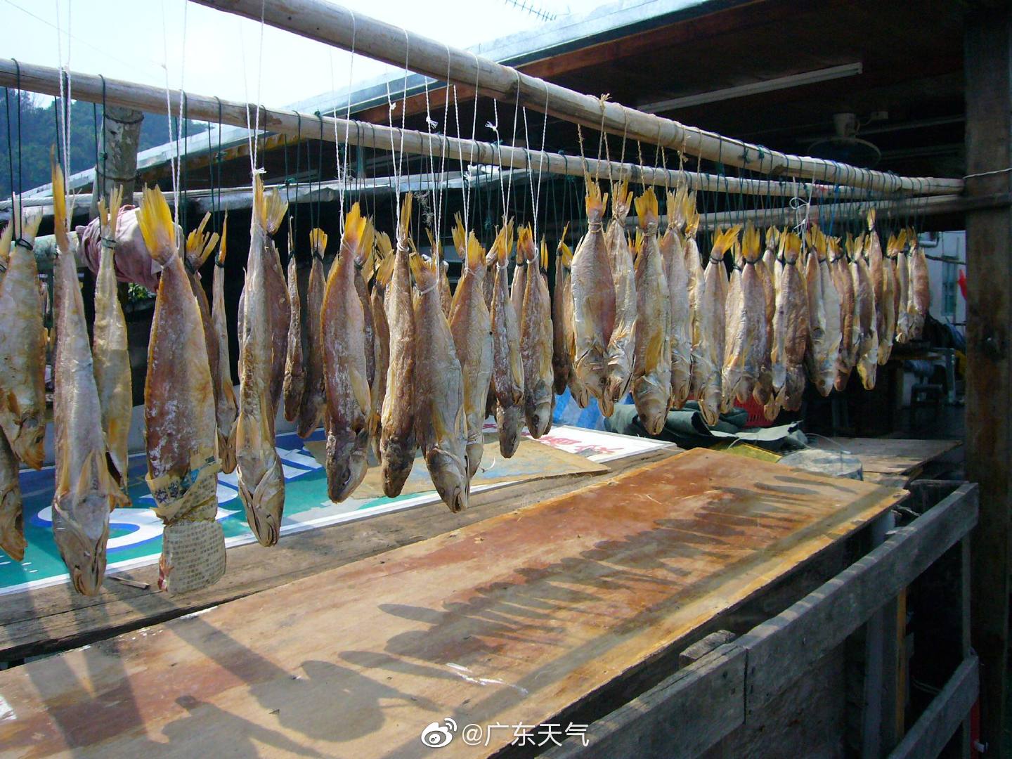 小编:首席:可以晒咸鱼小编:这是晒腊肠的好天气,可惜二师兄最近身价