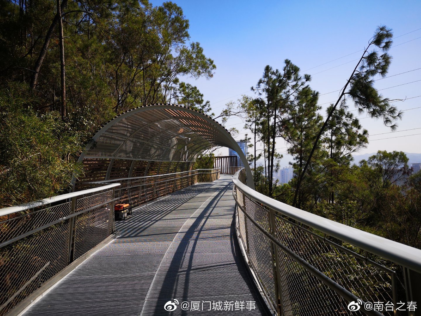 厦门健康步行道仙岳山段空中走廊美爆了周末约起