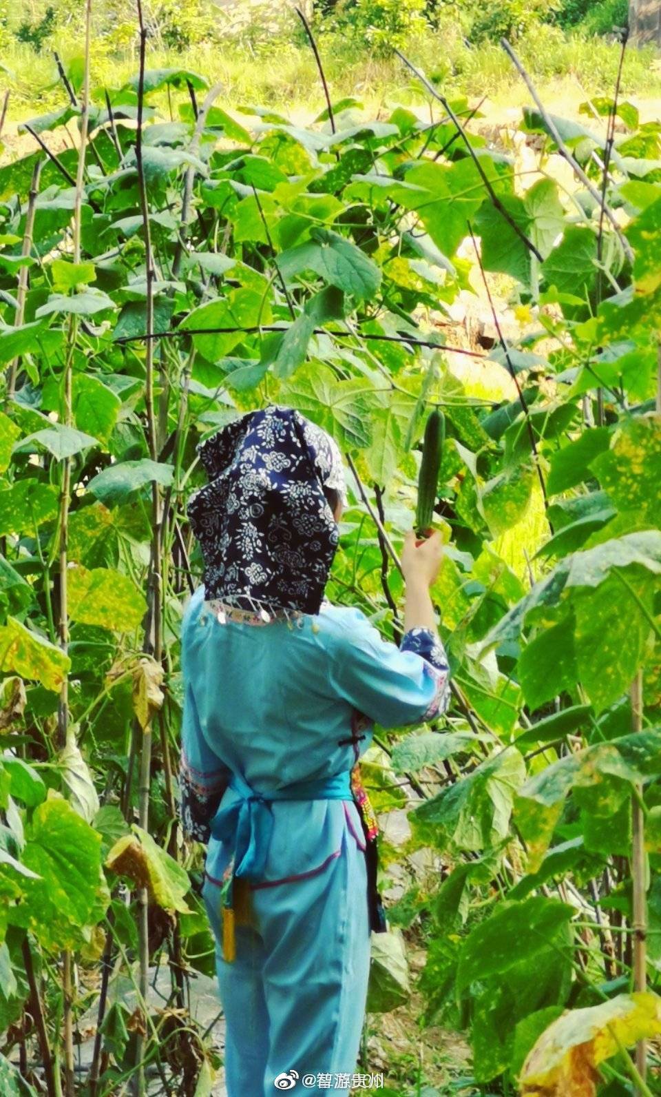 贵州省黔南州罗甸县大小井风景区多少年来藏在深山人末识