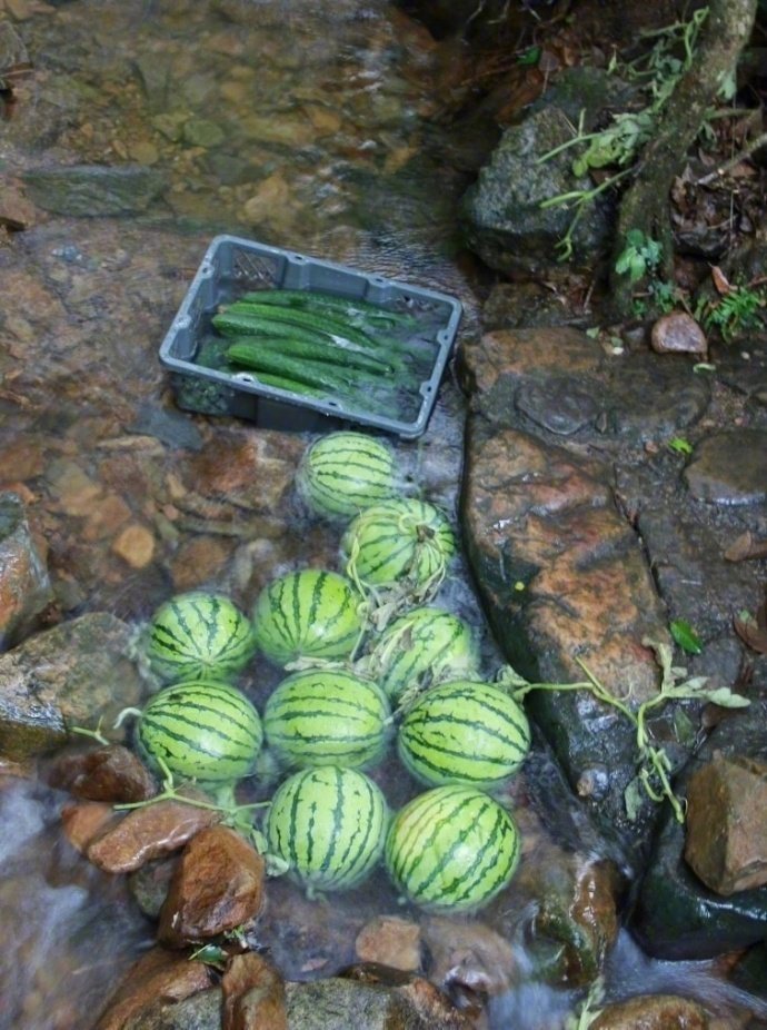 想起小时候,浮瓜沉李的夏天啊